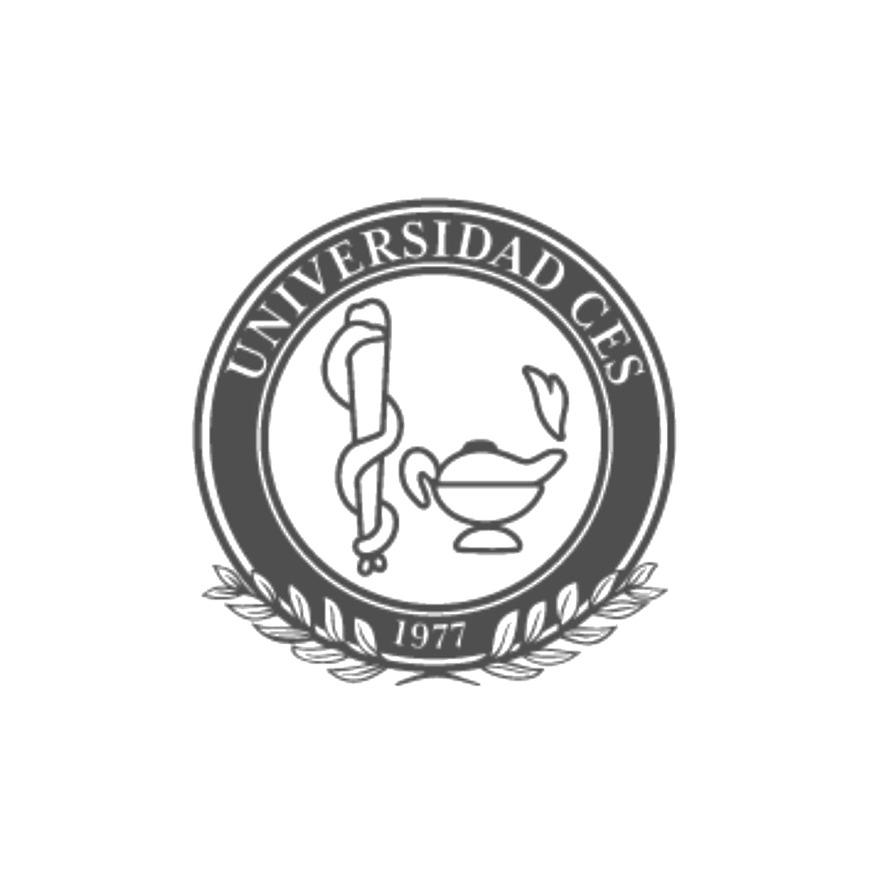 Universidad CES